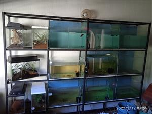 Fish tanks and stand