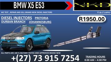 Injectors BMW X5 E53 Repair  