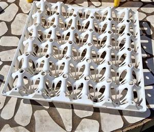 Plastic Egg Tray