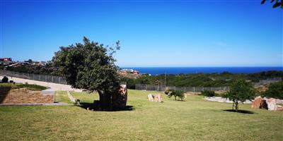 Vacant Land Residential For Sale in Blue Ridge