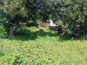 Land for Sale Wonderboom South