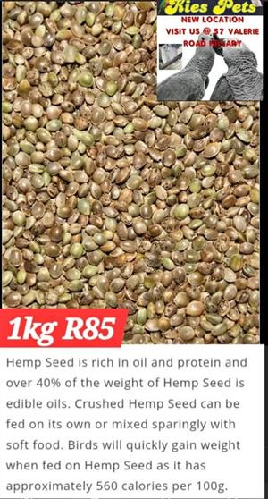 Hemp seeds for birds