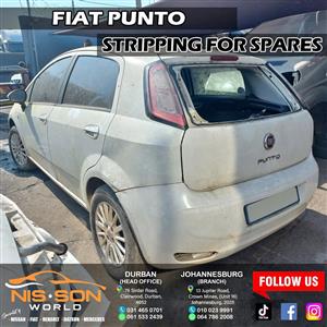 Fiat Punto Stripping For Spare