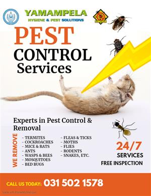 We provide 100% effective pest control services