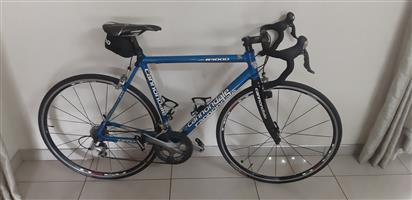 cannondale in All Ads in South Africa 
