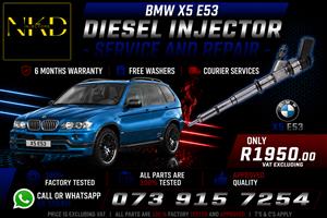 Recondition_BMW_X5_E53_Injectors 