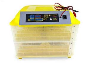 Incubator ( capacity 64 )