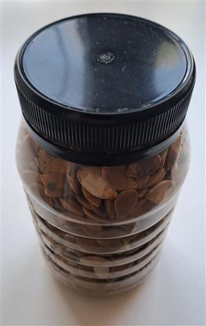 Organic Seeds for Large Pumpkin. . I am in Kew, Johannesburg. 