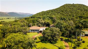 Stunning Sugarcane Production Farm in the Malelane Area