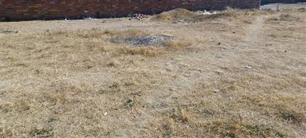 Build your dream on solid ground!