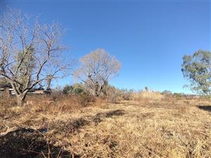 Large Stand with Business Rights for sale in Parys