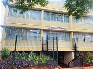 spacious and newly renovated