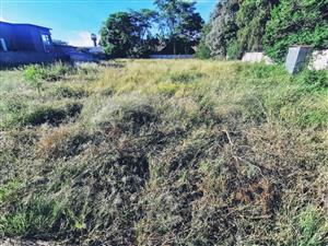 1536sqm Vacant Stand in Old Bendor