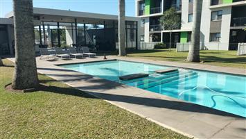 Great Investment Opportunity or Starter Home!