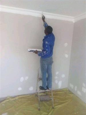 Randburg painters 