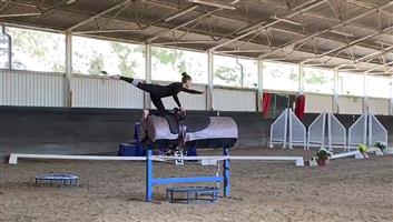 HORSE VAULTING LESSONS
