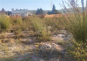 Vacant stand in Complex