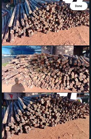 2.4m Repurpose treated poles