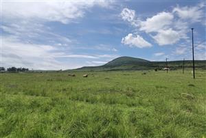 Vacant Land For Sale