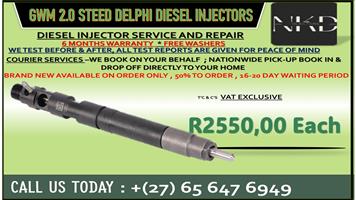 GWM 2L STEED Diesel Injectors