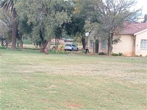 An ensemble of three small holdings with great potential.