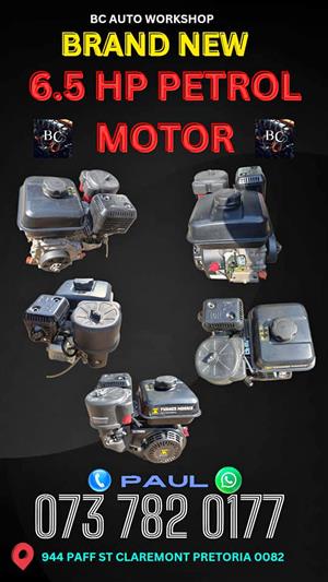 6.5HP petrol motor