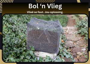 Bol 'n Vlieg - Vlieëvanger / Fly Catcher