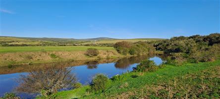 Farm For Sale in Mossel Bay Rural