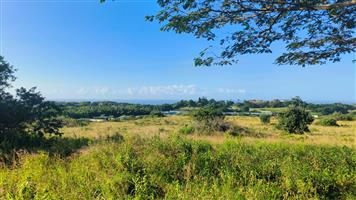 Seaview stand in Salt Rock