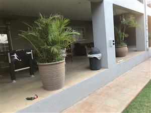 Cottage Rooms available for rental in Auckland Park
