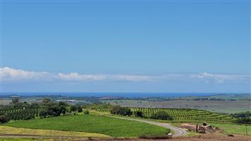 A 134 Ha farm in the greater Ballito Area