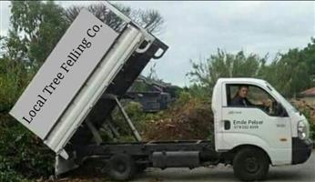 Tree felling services