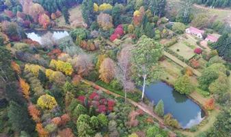 39 Hectare Commercial Gem in Magoebaskloof