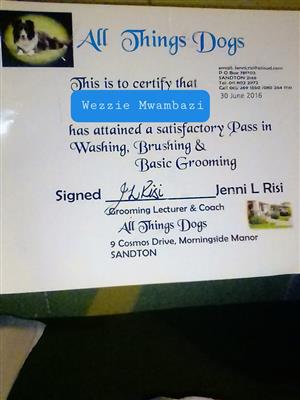 I am a Dog groomer looking for Work