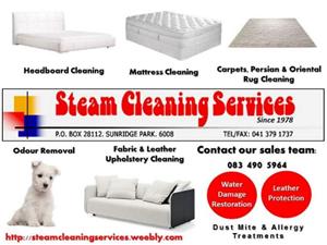 Steam Cleaning Services 
