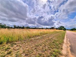 Euphoria’s Tranquil Oasis: A Blank Canvas Awaits