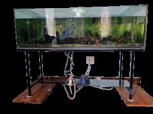 Fish tanks outlet for sale junkmail