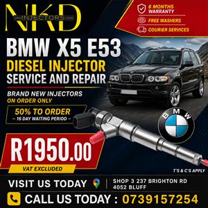 Repair_Your_BMW_X5_E53_Injectors 