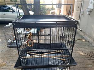 Large Bird/Parrot cage
