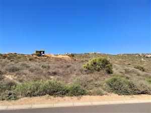 319m2 vacant land for sale in Steenbergs Cove