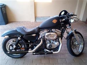 2008 HARLEY DAVIDSON 883 COLLECTIBLE SPORTSTER FOR SALE