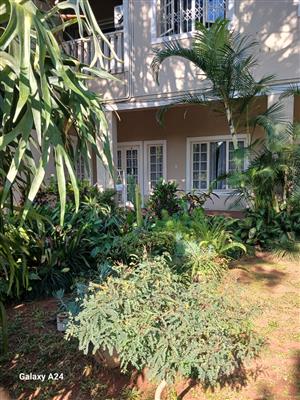 Calling Pensioners from 55 yrs old.