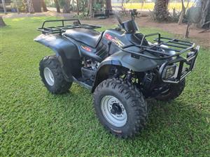 2 x 260cc Linhai Rustler (Very Good condition)  