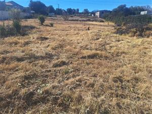 Come and Build your Home Here