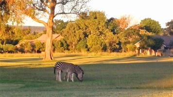 PRIVACY, GREEN BELT, AND BIRDWATCHING IN KORO CREEK GOLF ESTATE!