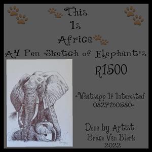 A4 Pen Sketch of Elephant's 
