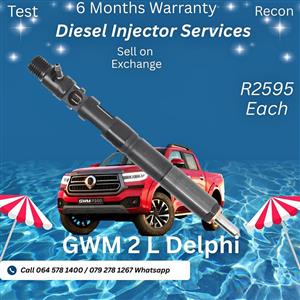 2 L GWM Delphi diesel injectors