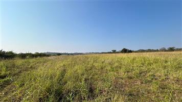 Farm For Sale in Tzaneen Rural