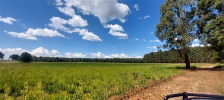 Farm For Sale in Belfast
