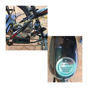 Fat Tire Trike (Motorized)